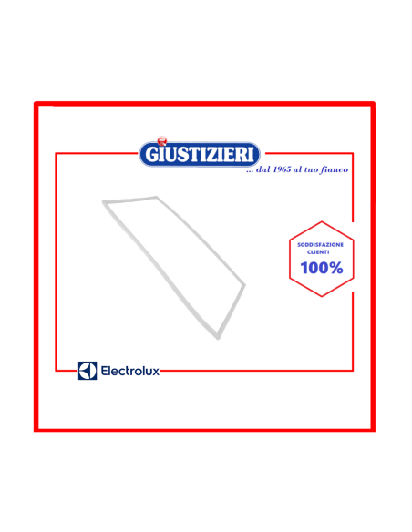 50059176003 guarnizione magnetica porta frigo electrolux ori - giustizierishop.it