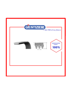 c00300793 cinghia 1991 h8 el 482000023435 - giustizierishop.it