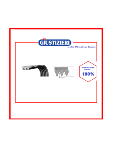 c00300793 cinghia 1991 h8 el 482000023435 - giustizierishop.it