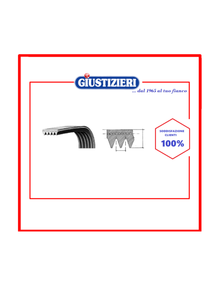 c00300793 cinghia 1991 h8 el 482000023435 - giustizierishop.it