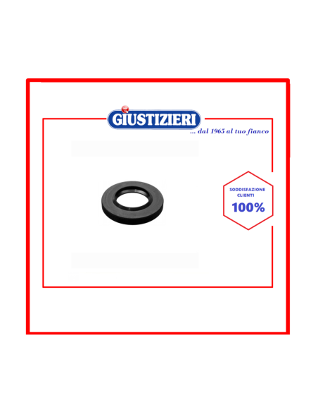 wt128 anello tenuta 30x52x10/12 mm sezione gp adattabile zan - giustizierishop.it