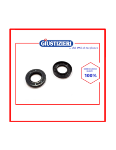 slb102un  anello tenuta 35x62x10 gp ardo 651029839-481253068 - giustizierishop.it
