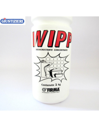 wipp disincrostante concentrato lotto 2pezzi uso professiona - giustizierishop.it