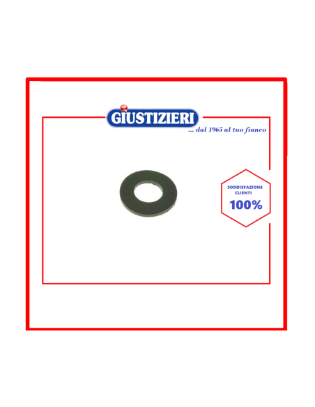 03ag016 guarnizione tubo carico confezione 100 pezzi lavatri - giustizierishop.it