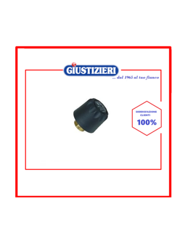 00813038 tappo caldaia ferro da stiro polti - giustizierishop.it