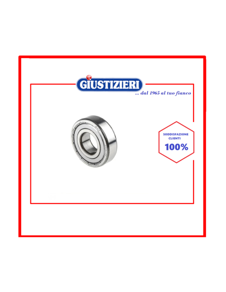 204 cuscinetto lavatrice universale 6204 zz skf 481252028137 - giustizierishop.it
