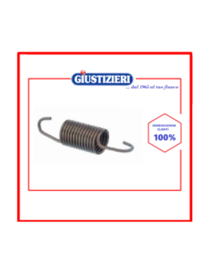 107717 molla sospensione vasca bosch 00606818 lavatrice - giustizierishop.it