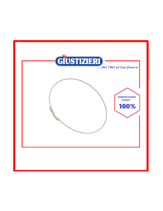 1320552001 anello fissaggio guarnizione oblo' lavatrice elec - giustizierishop.it