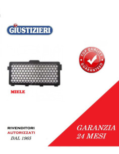 09616280 filtro hepa miele s4000 s5000 qualita' garantita - giustizierishop.it