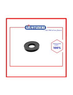 4954 anello tenuta 30 x 52 x 10 lg universale - giustizierishop.it