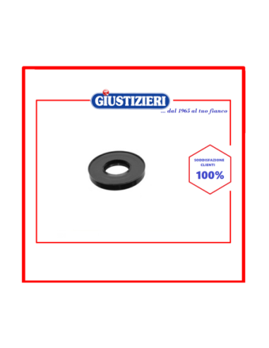 4954 anello tenuta 30 x 52 x 10 lg universale - giustizierishop.it