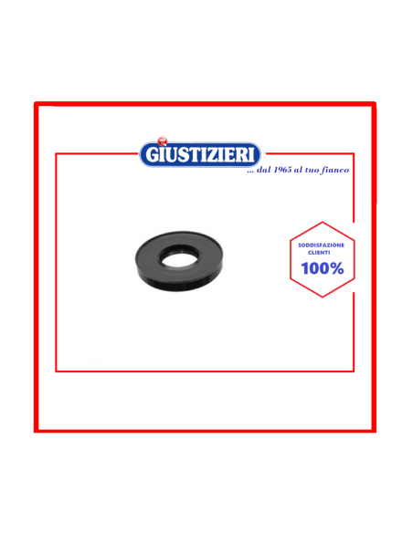 4954 anello tenuta 30 x 52 x 10 lg universale - giustizierishop.it