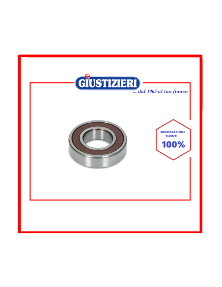 brg717un cuscinetto nsk 6206 2rs 30x62x16mm universale - giustizierishop.it