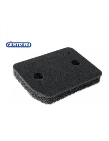 miele 9164761, 4054905442652, 00916476100017 filtro asciugat - giustizierishop.it