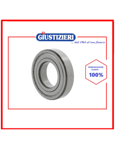 cuscinetto 6004-zz-20x42x12 - giustizierishop.it