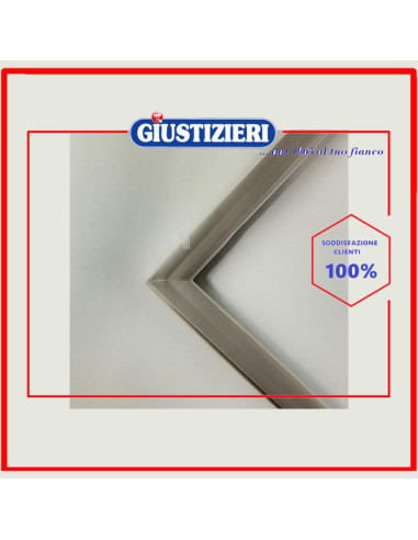 magnetic gasket