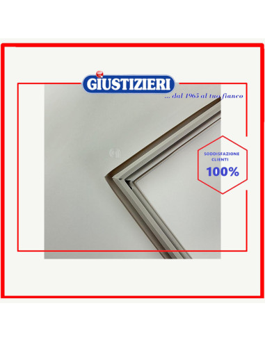 magnetic gasket