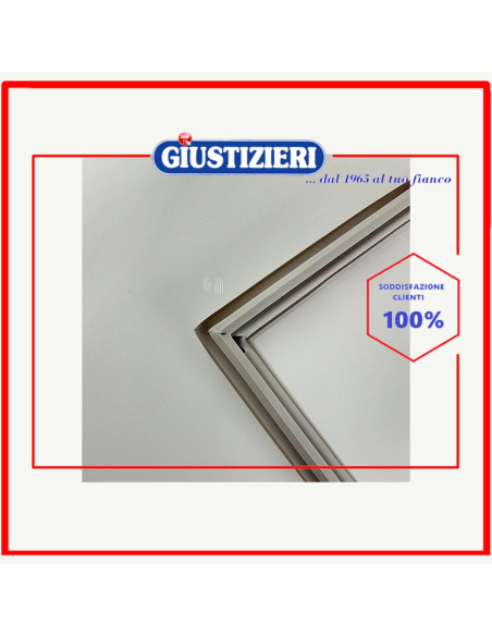 magnetic gasket