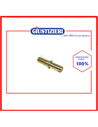 vite pescera 8x26xm6 ottone