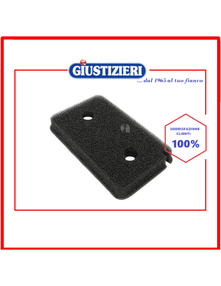 filtro aria spugna compatibile con asciugatrice compatibile con miele
