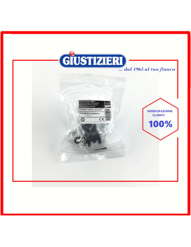 gruppo chiusura porta lavastoviglie electrolux