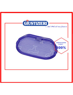 filtro rettangolare aspirapolvere dyson