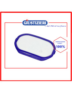 filtro rettangolare aspirapolvere dyson 2