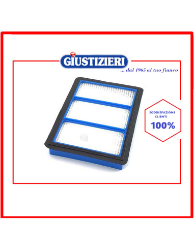filtro hepa post motore dc22 aspirapolvere dyson