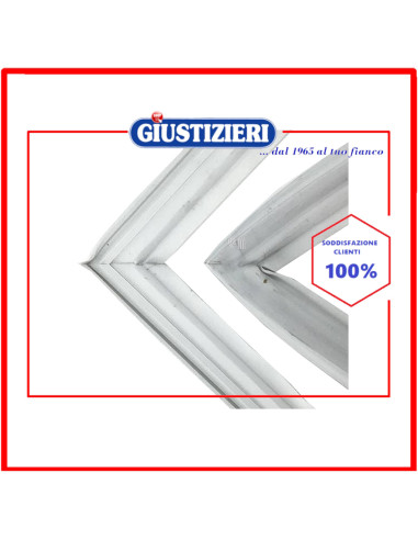 guarnizione congelatore electrolux