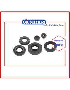 anello tenuta 30x53/60x10/13 lavatrice candy