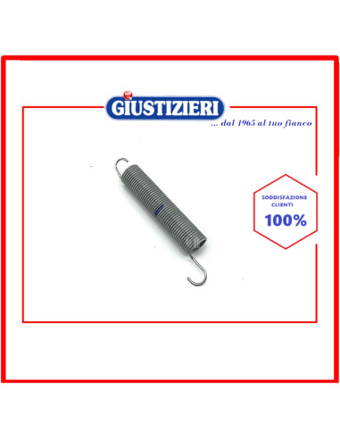 molla cerniera originale lavastoviglie beko